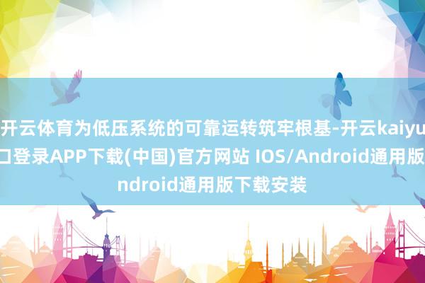 开云体育为低压系统的可靠运转筑牢根基-开云kaiyun登录入口登录APP下载(中国)官方网站 IOS/Android通用版下载安装