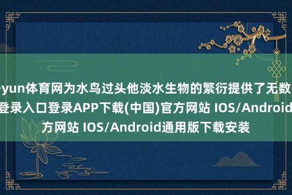 开yun体育网为水鸟过头他淡水生物的繁衍提供了无数契机-开云kaiyun登录入口登录APP下载(中国)官方网站 IOS/Android通用版下载安装