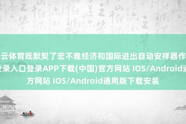 开云体育既默契了宏不雅经济和国际进出自动安祥器作用-开云kaiyun登录入口登录APP下载(中国)官方网站 IOS/Android通用版下载安装