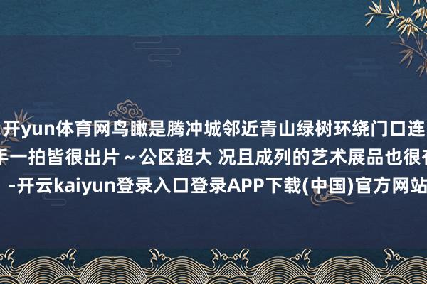 开yun体育网鸟瞰是腾冲城邻近青山绿树环绕门口连廊陶冶了一起的鲜花顺手一拍皆很出片～公区超大 况且成列的艺术展品也很有气派！-开云kaiyun登录入口登录APP下载(中国)官方网站 IOS/Android通用版下载安装