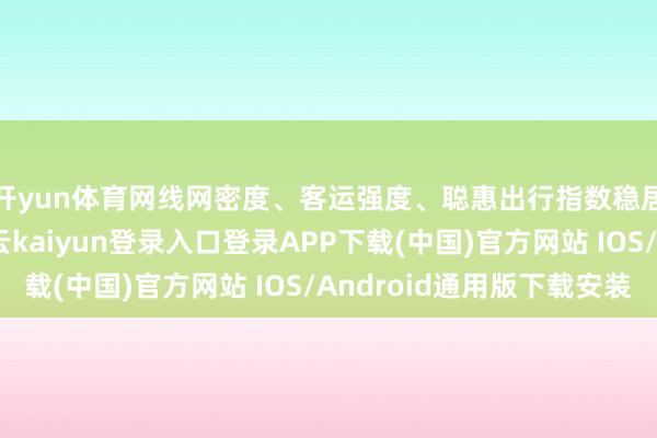 开yun体育网线网密度、客运强度、聪惠出行指数稳居超大城市首位-开云kaiyun登录入口登录APP下载(中国)官方网站 IOS/Android通用版下载安装