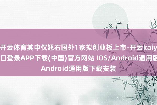 开云体育其中仅翘石国外1家拟创业板上市-开云kaiyun登录入口登录APP下载(中国)官方网站 IOS/Android通用版下载安装