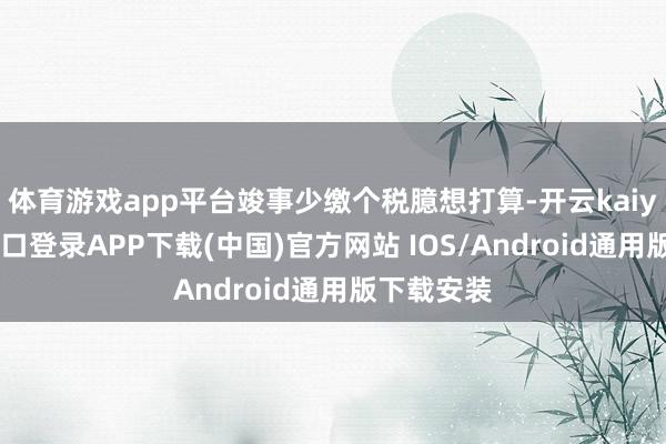 体育游戏app平台竣事少缴个税臆想打算-开云kaiyun登录入口登录APP下载(中国)官方网站 IOS/Android通用版下载安装