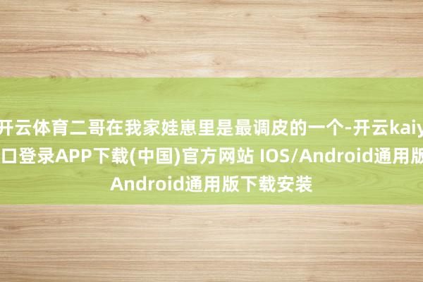 开云体育二哥在我家娃崽里是最调皮的一个-开云kaiyun登录入口登录APP下载(中国)官方网站 IOS/Android通用版下载安装