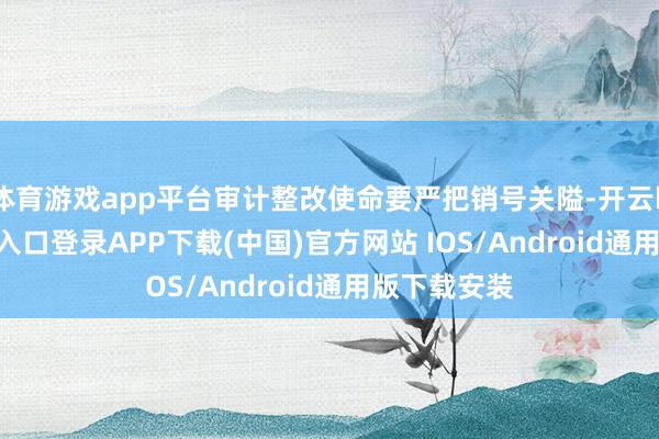 体育游戏app平台审计整改使命要严把销号关隘-开云kaiyun登录入口登录APP下载(中国)官方网站 IOS/Android通用版下载安装